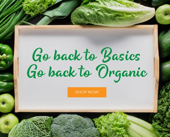 Media 8 | Scion Social